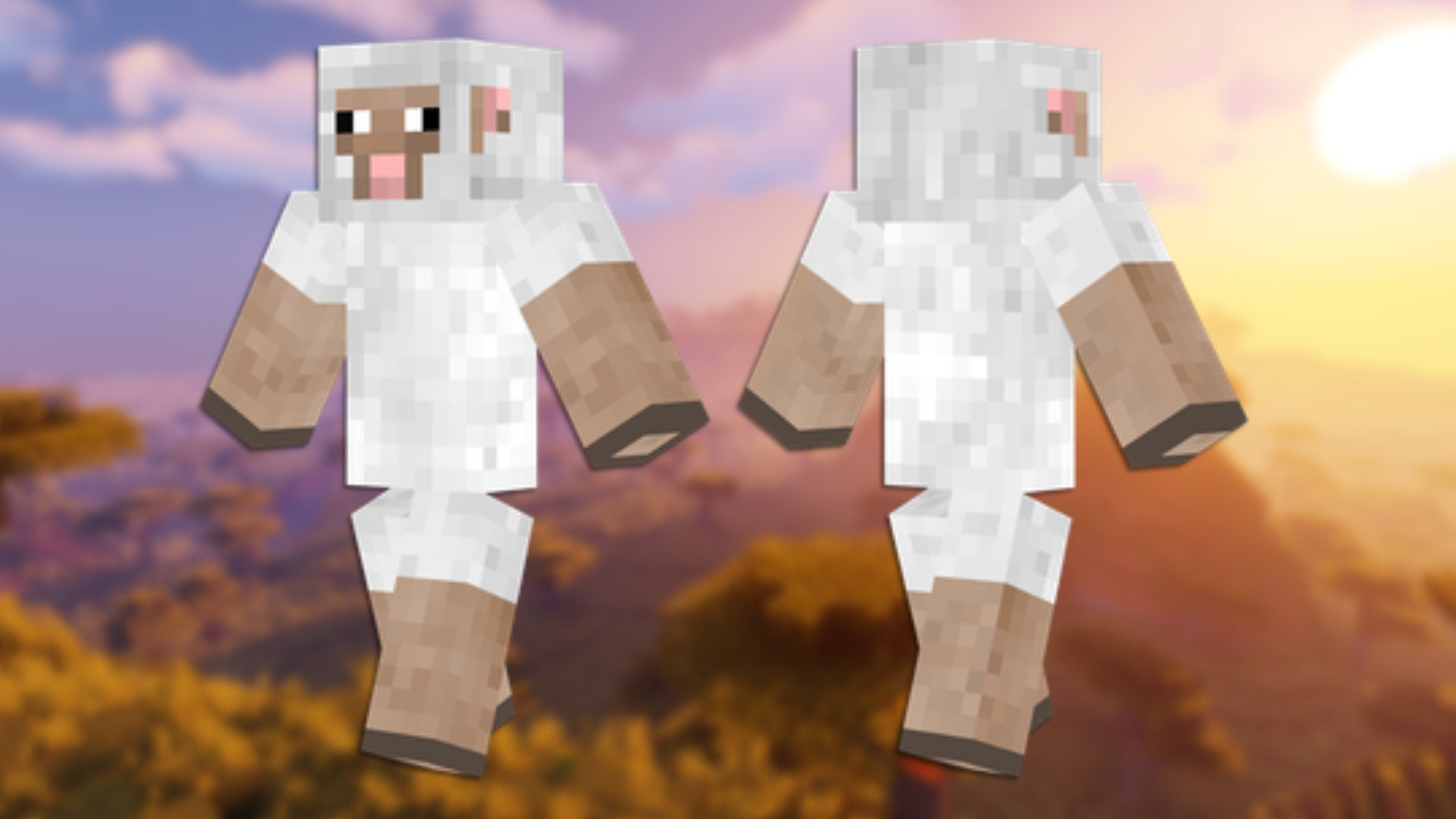 A front and back view of the Sheep Minecraft skin.