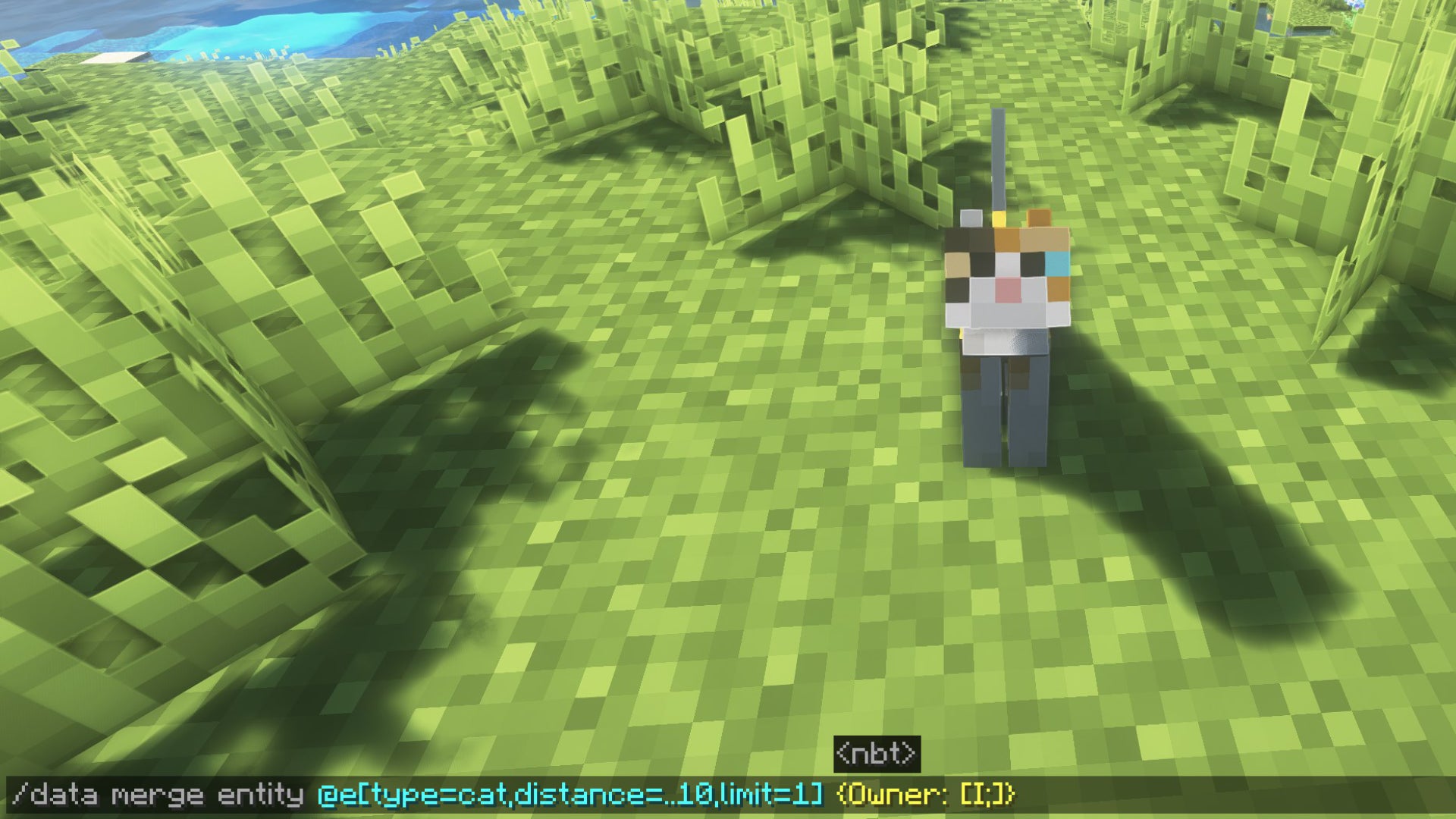 The player in Minecraft looks down at a cat and inputs a command which transfer's ownership of the pet to another player.