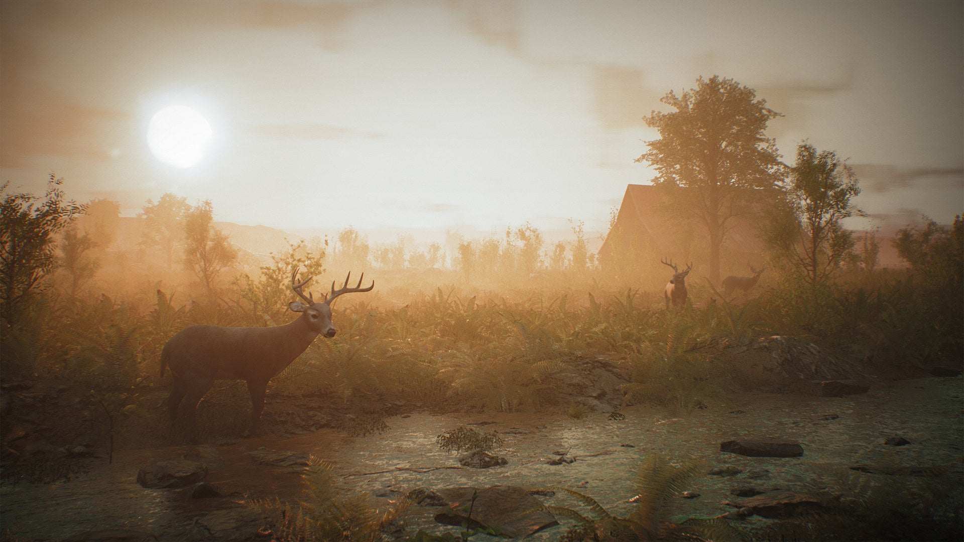 Image for Morels: The Hunt looks like a regular hunting game, but bagging mushrooms not moose