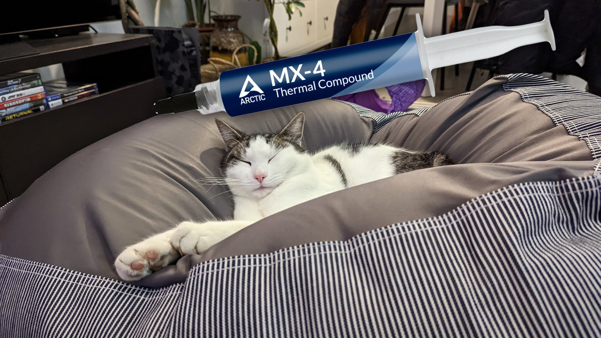 a cat sleeps under a (superimposed) photo of a tube of thermal paste