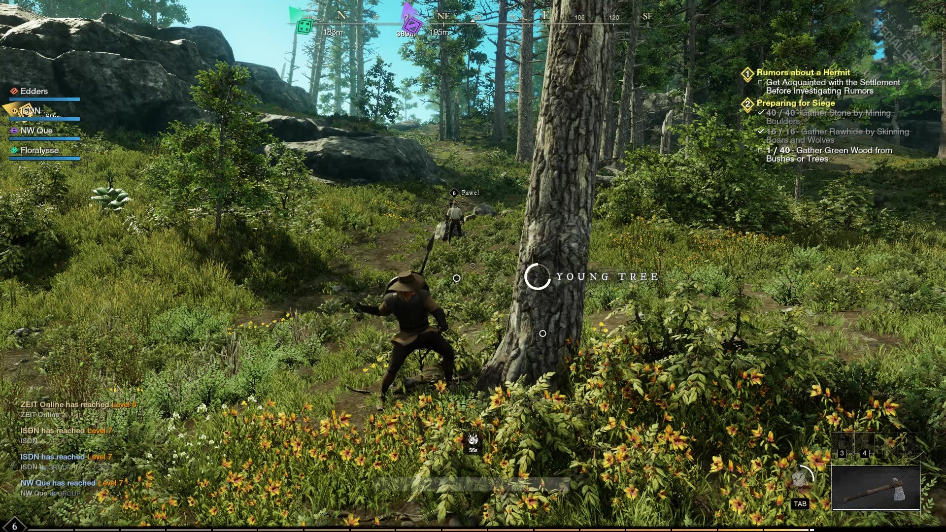 An image from New World which shows the player chopping down a young tree in a woodland area.