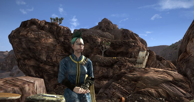 fallout character overhaul not working for all characters