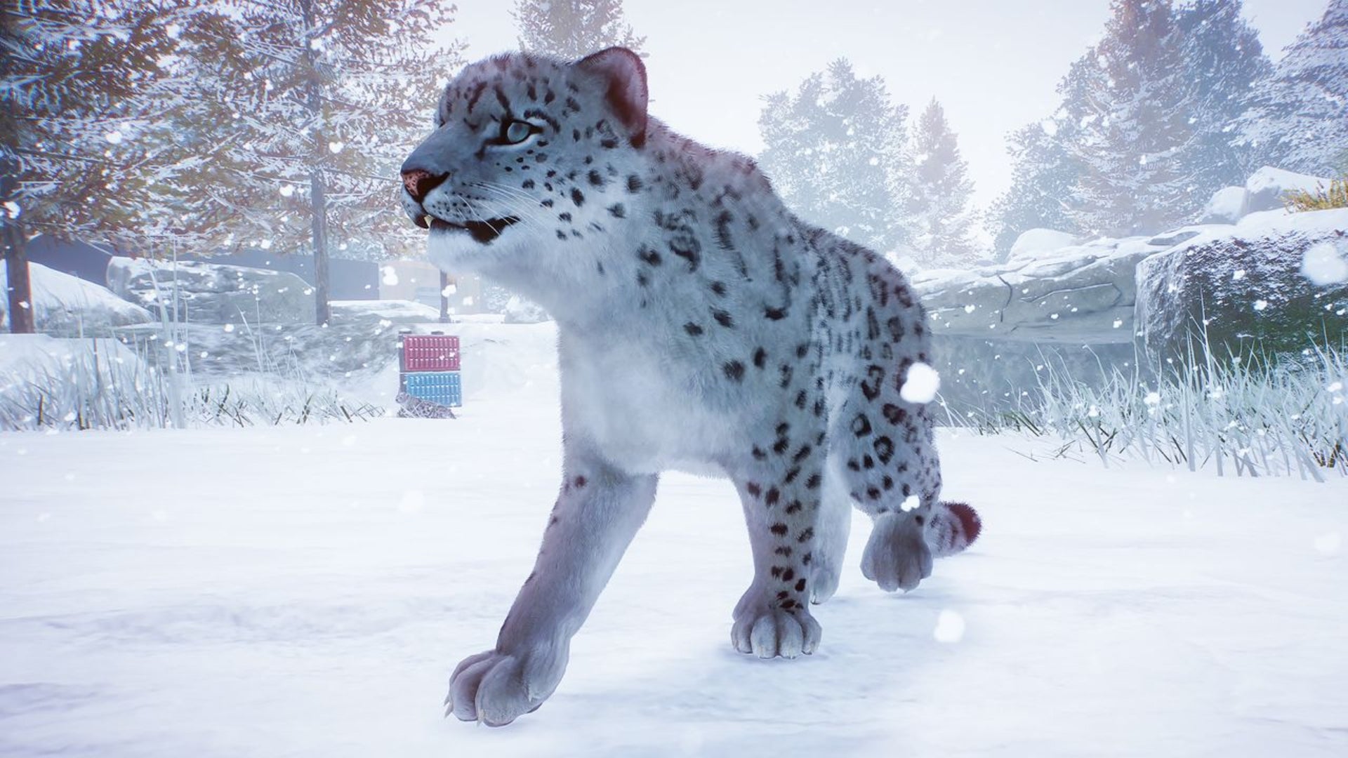 A snow leopard pads along some snow in Planet Zoo.