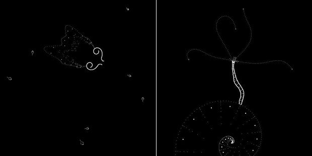 Image for Plankton Offers Up A Tiny Monochrome Electro-pet