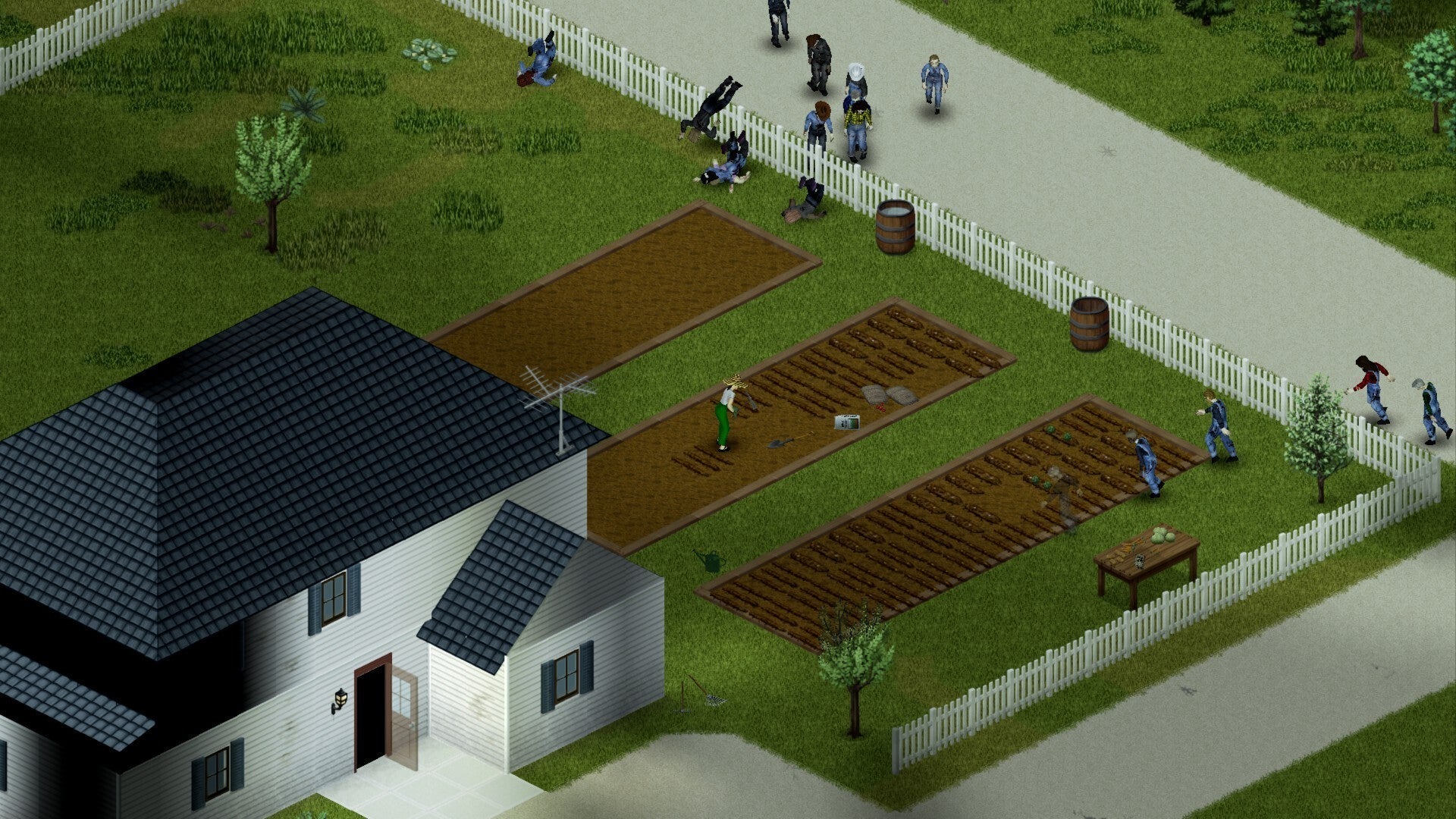 Project Zomboid player farming at a base with zombies spilling over the fence. Horde is attacking from the road