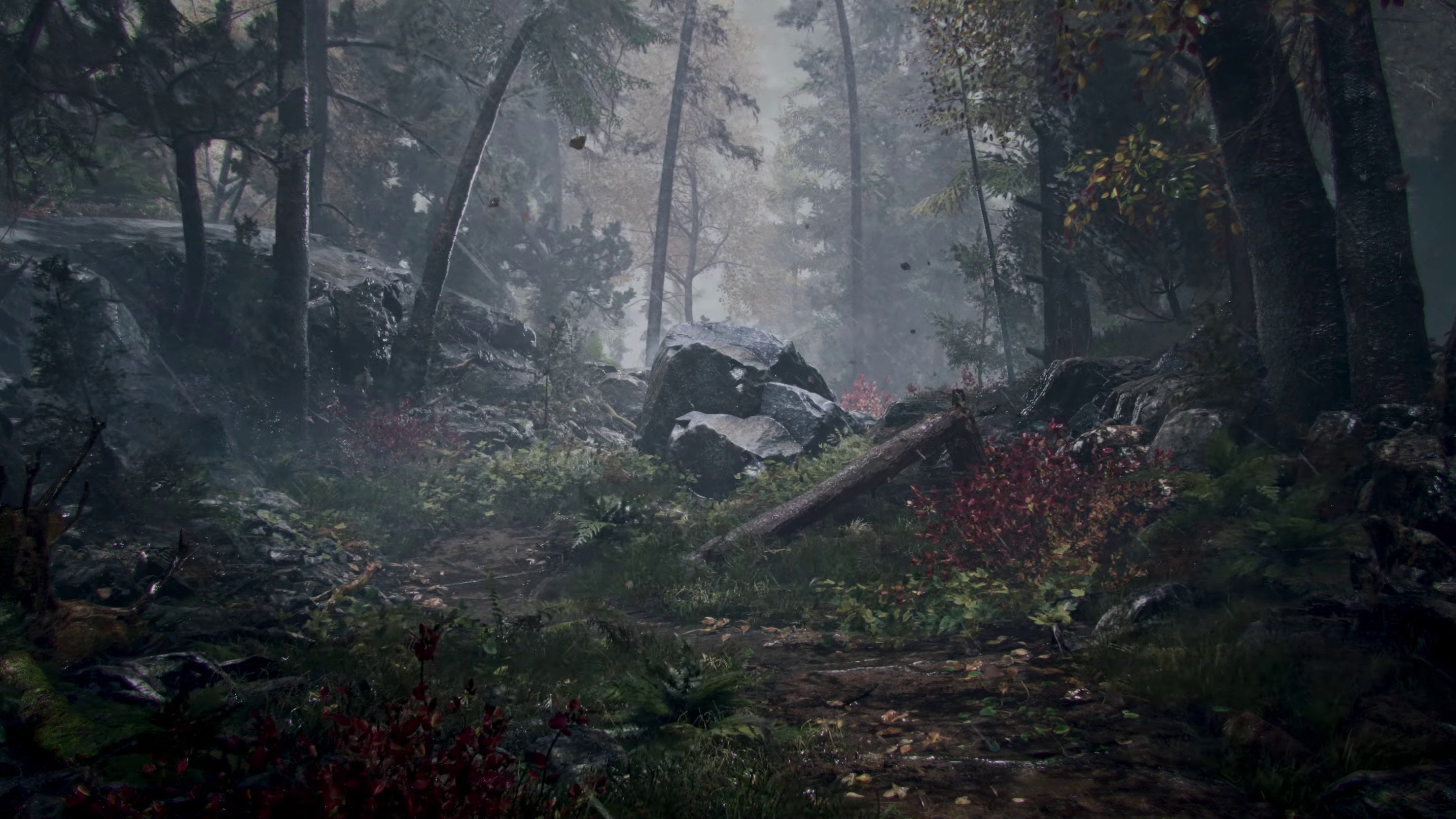 Prologue- A dark and rainy forest with rocky outcroppings