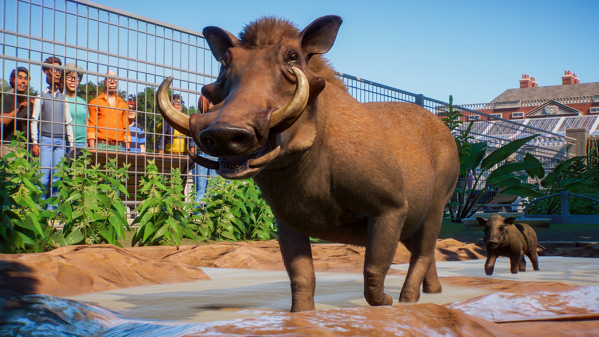 Image for Planet Zoo has great poop physics, runaway animals, and loads of other good animal action