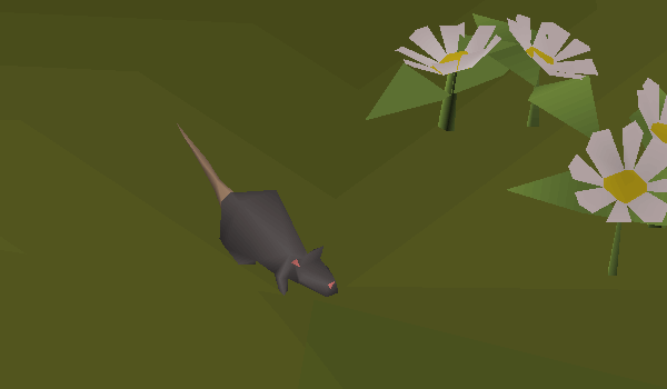 A little rat in an Old School RuneScape screenshot.