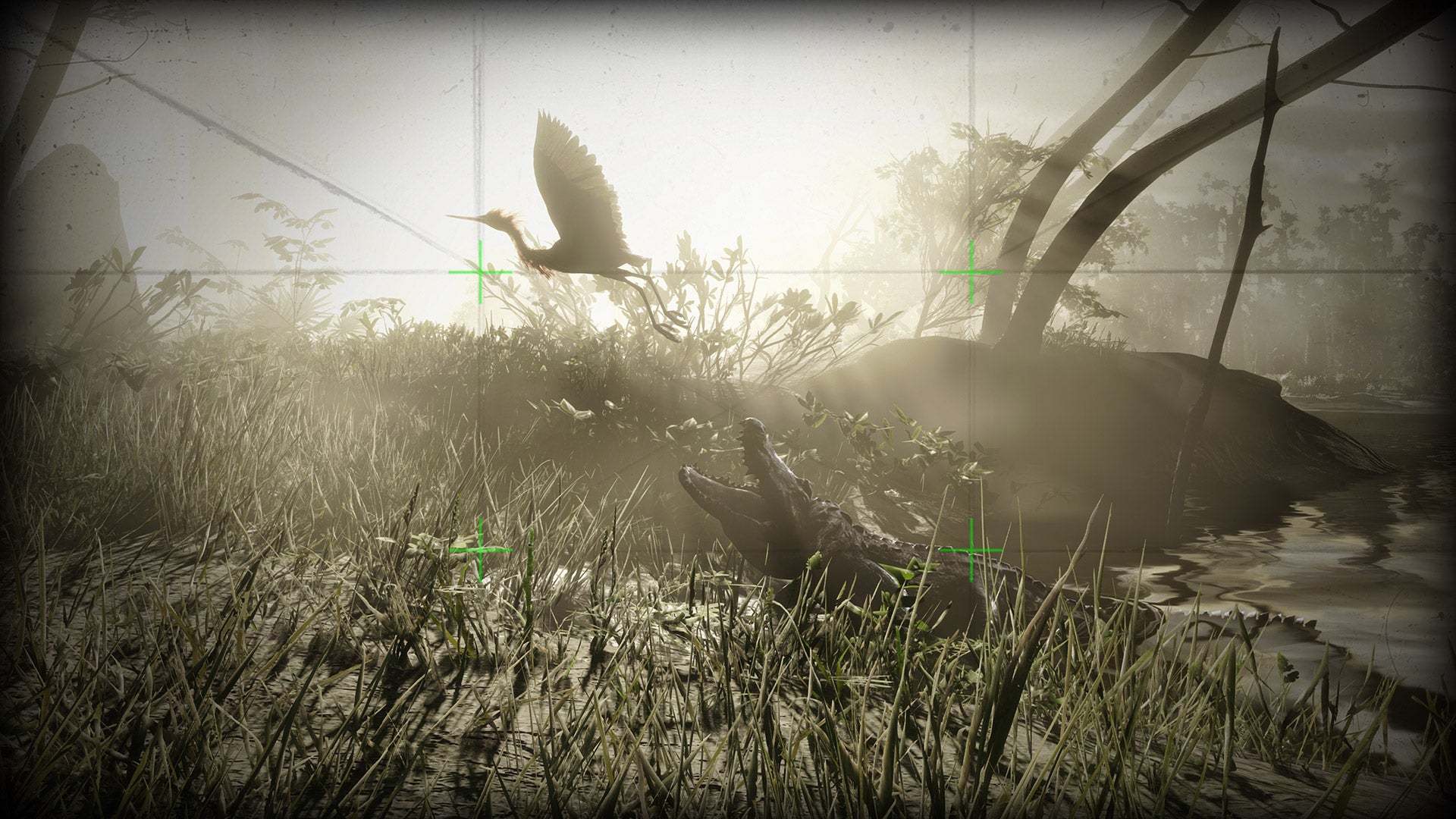 Red Dead Online - A camera viewfinder aims at an American Alligator snapping at a bird.