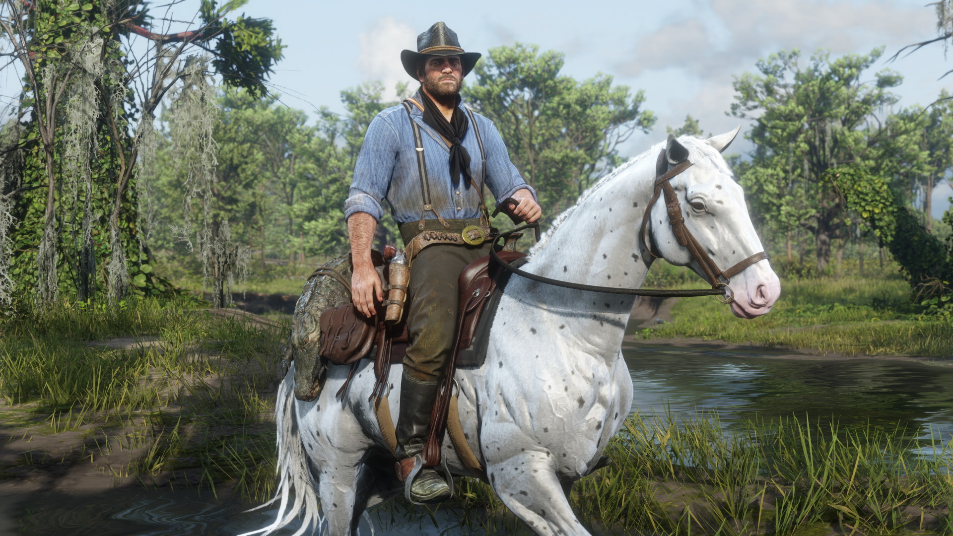 get my horse and me 2 work on windows 10