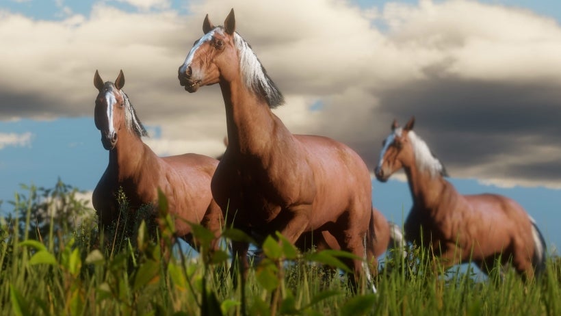 Image for Red Dead Redemption 2 - Best horses guide