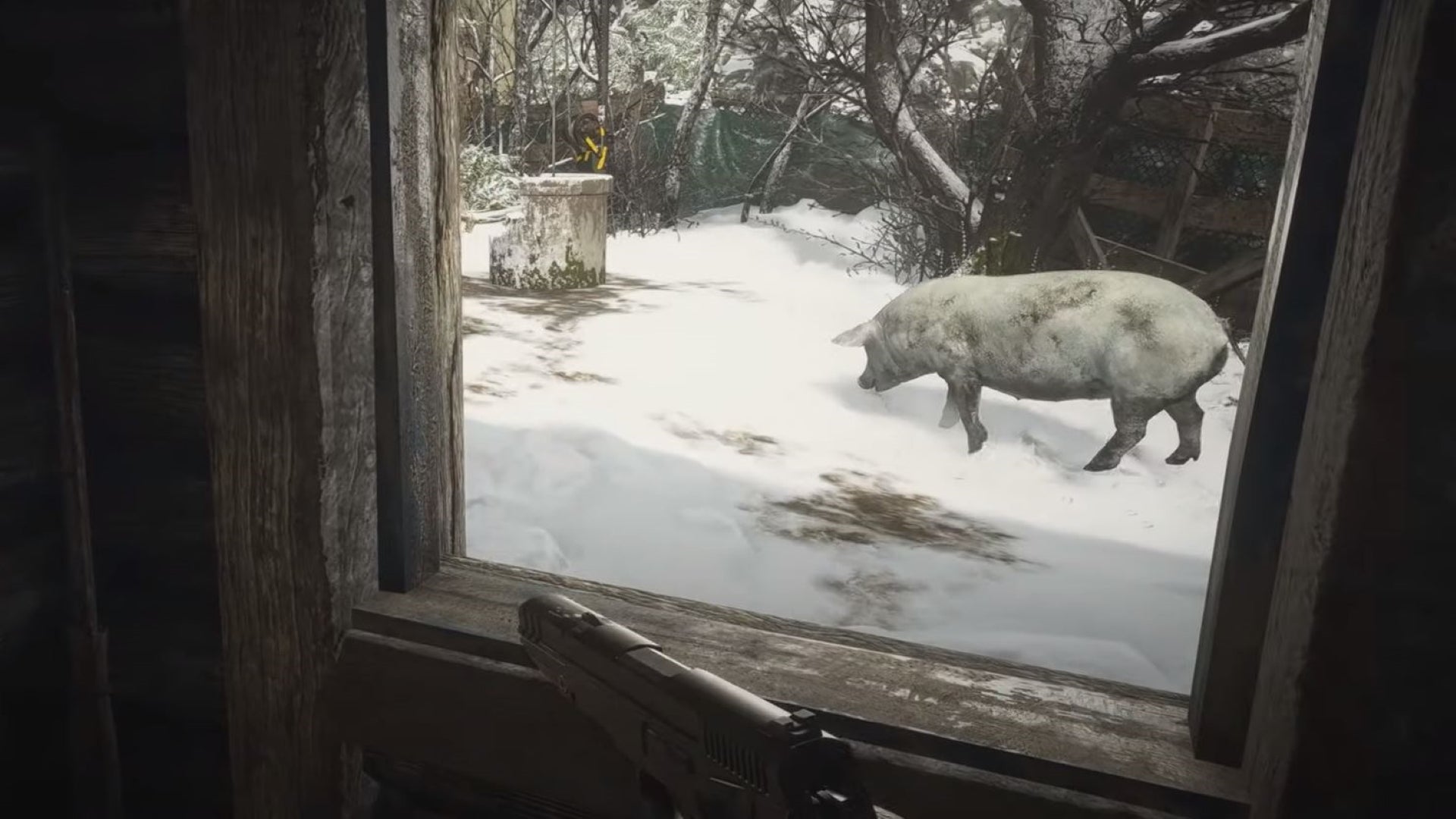 An image of the player looking at a large white pig in Resident Evil Village.