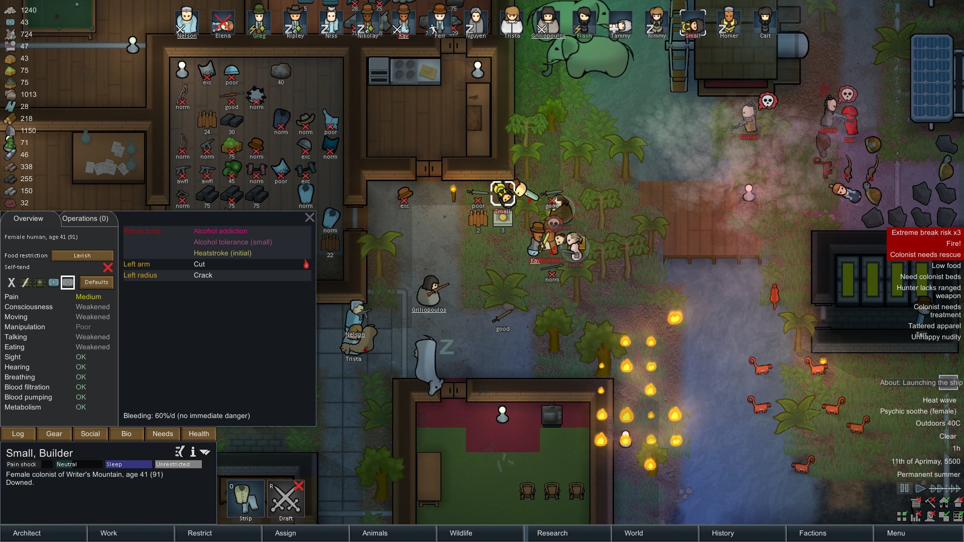 RimWorld was pulled from Steam Australia's sale as an insult to public morality, decency and propriety. thumbnail
