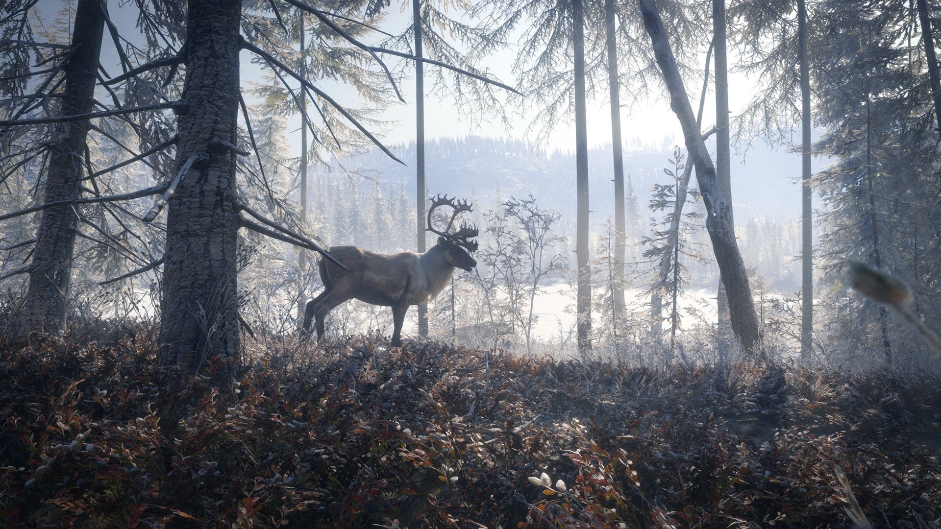 Image for How theHunter: Call of the Wild simulates wild animals