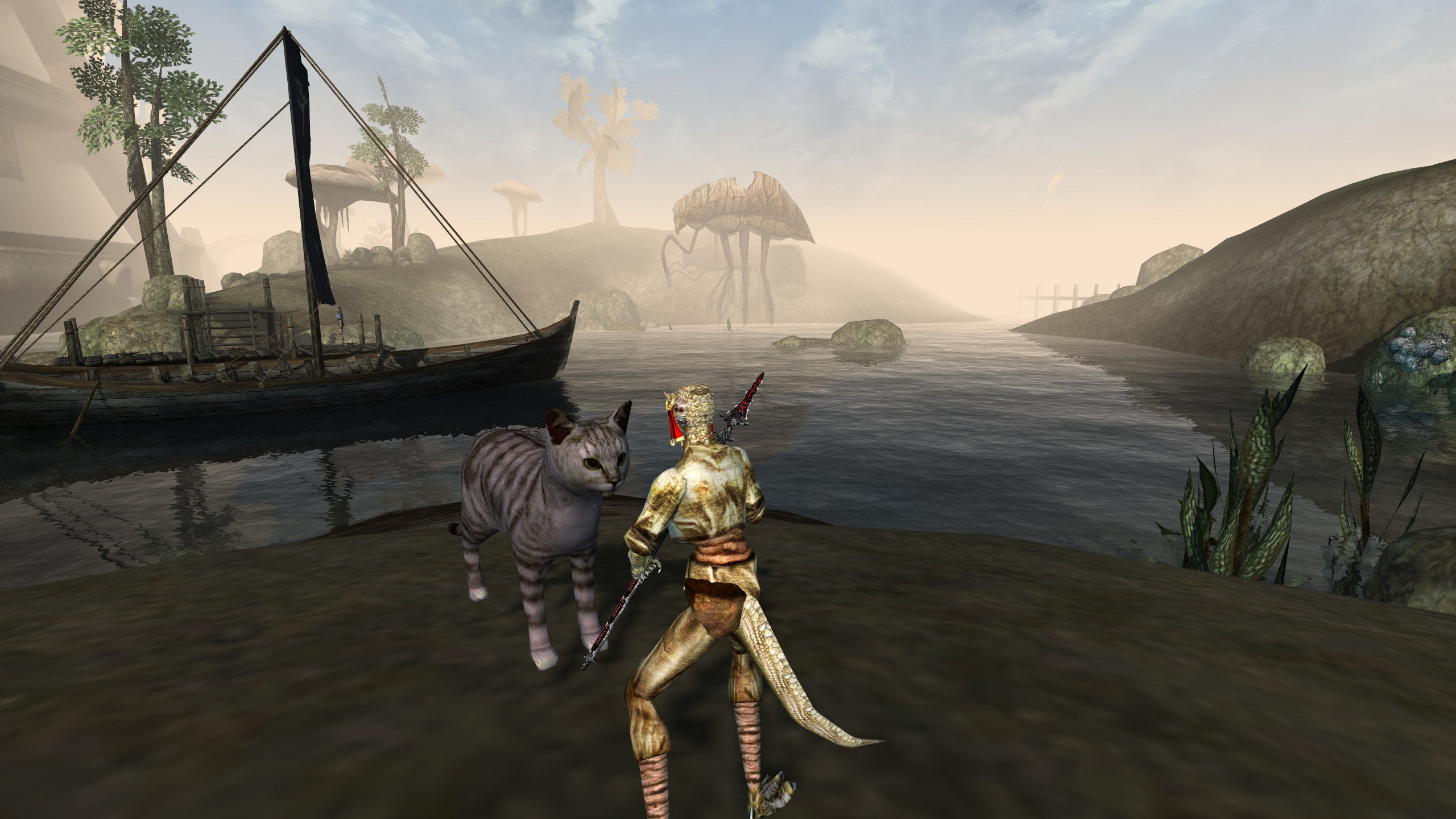 A tiny downscaled Argonian stands next to a stripy cat in a modded Morrowind screenshot.