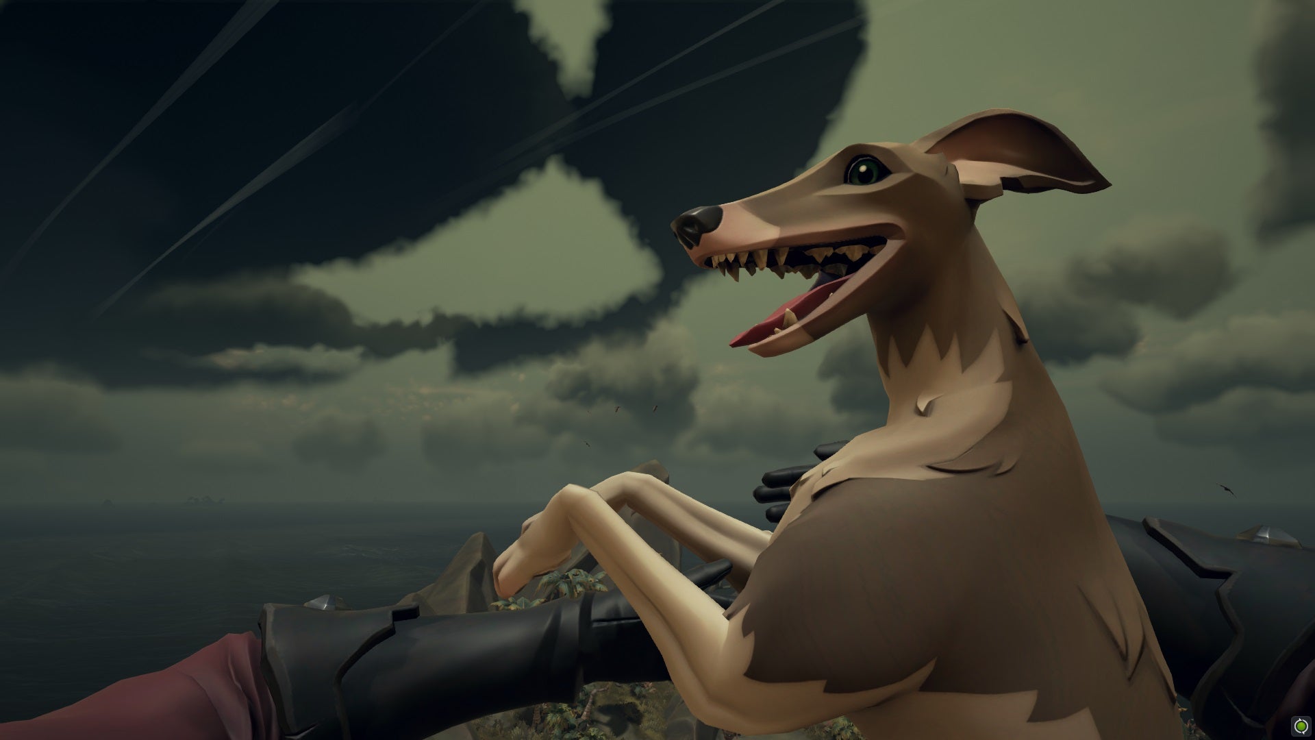 Image for Sea Of Thieves has dogs now and I love them with all my heart