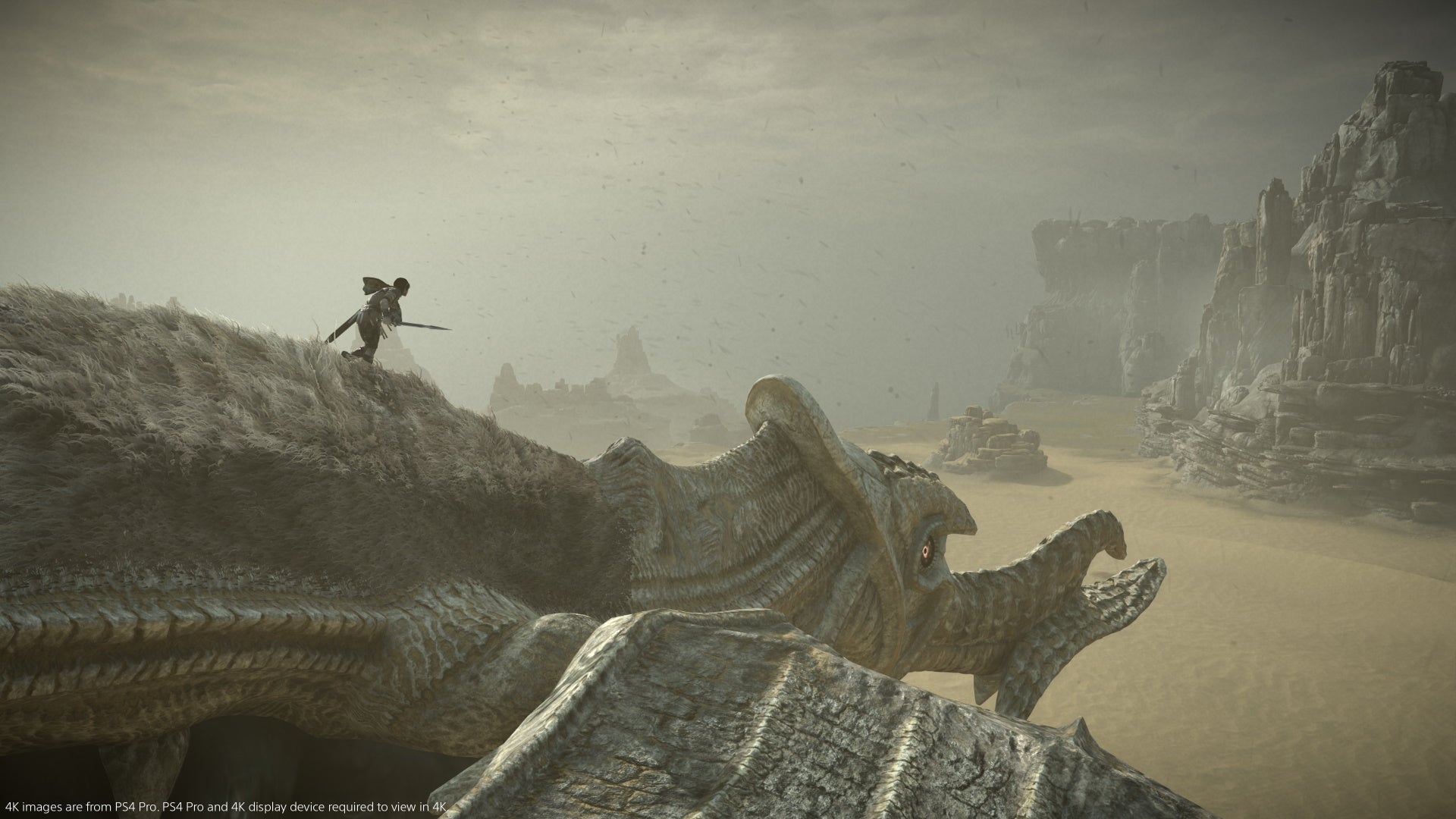 The player runs down a Colossus' neck in Shadow Of The Colossus.