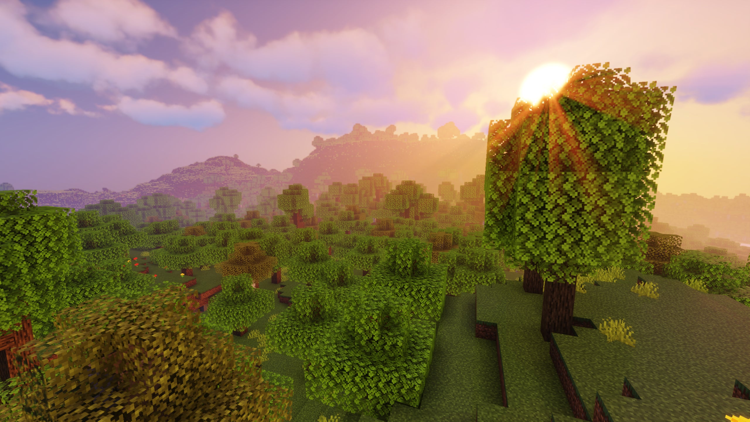 The sun rises over a Minecraft forest.