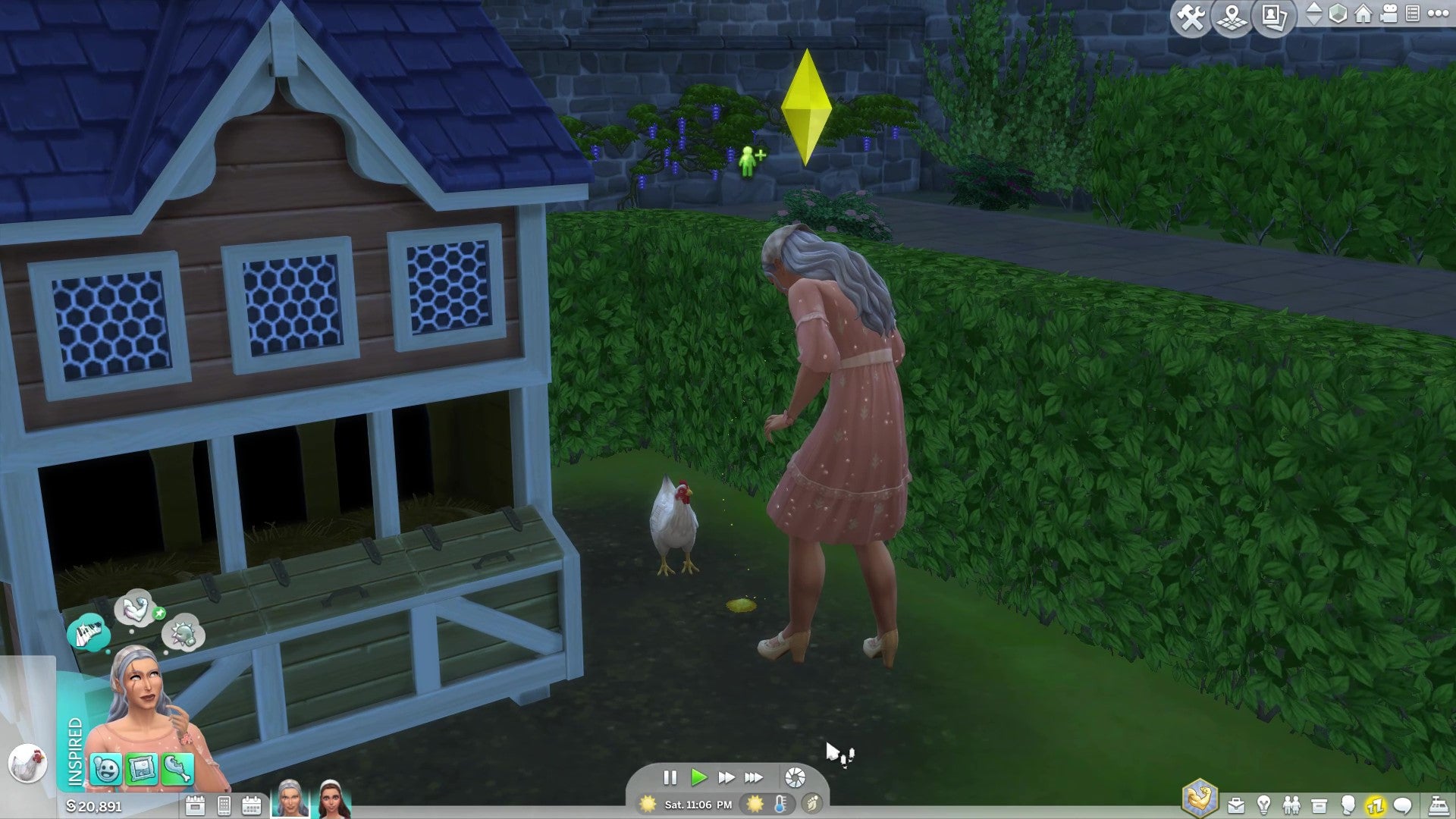 A Sim feeding a chicken an animal treat.