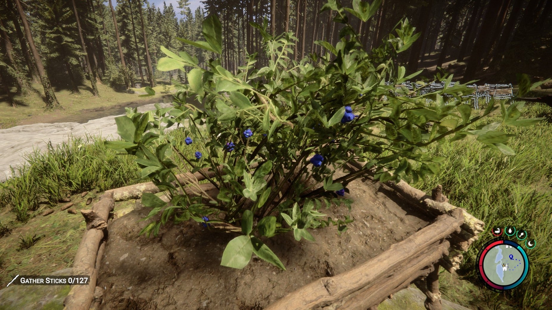 Image for I built a blueberry farming empire in Sons Of The Forest