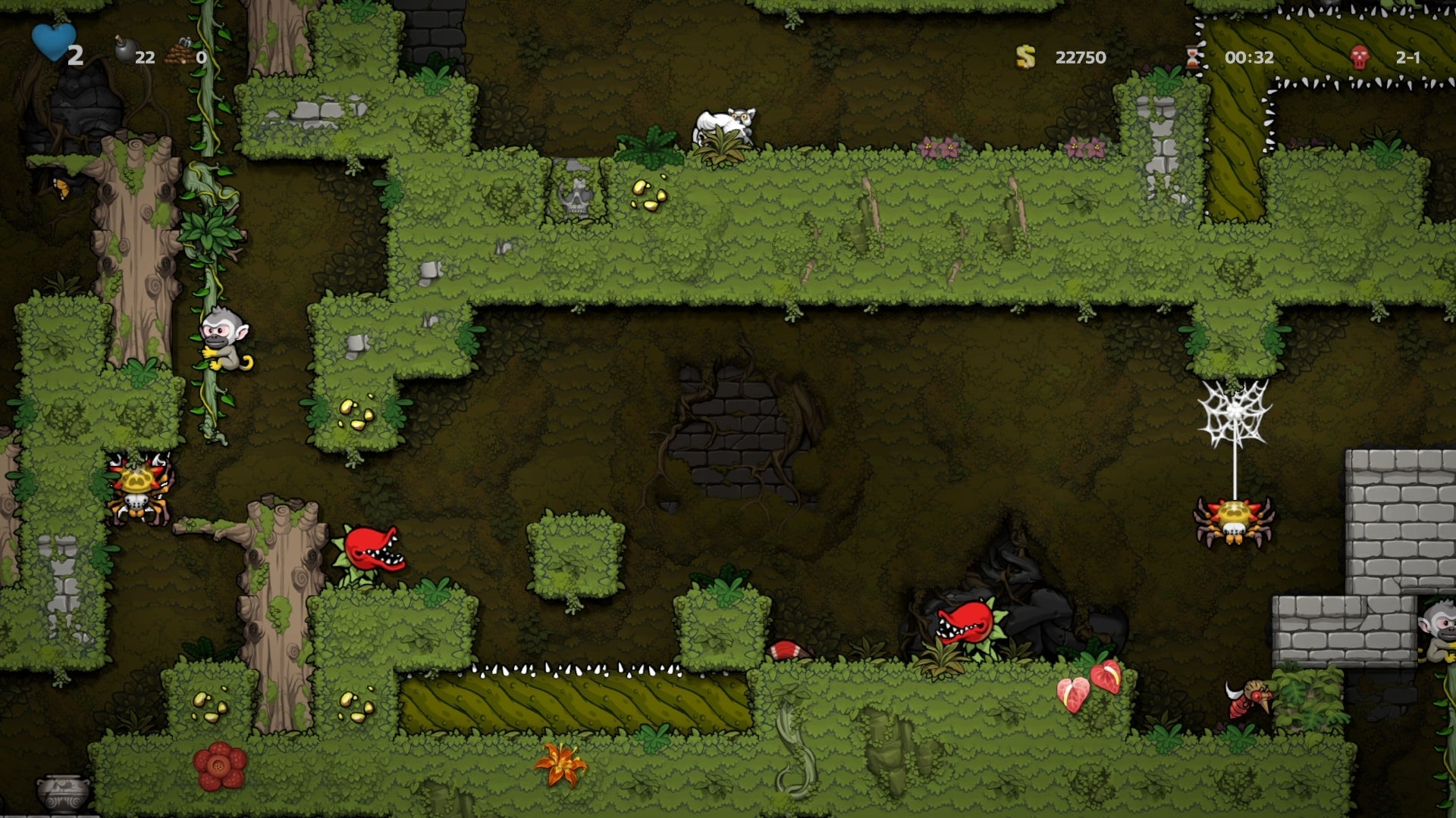 Image for Spelunky 2 daily: Well, it could have been worse