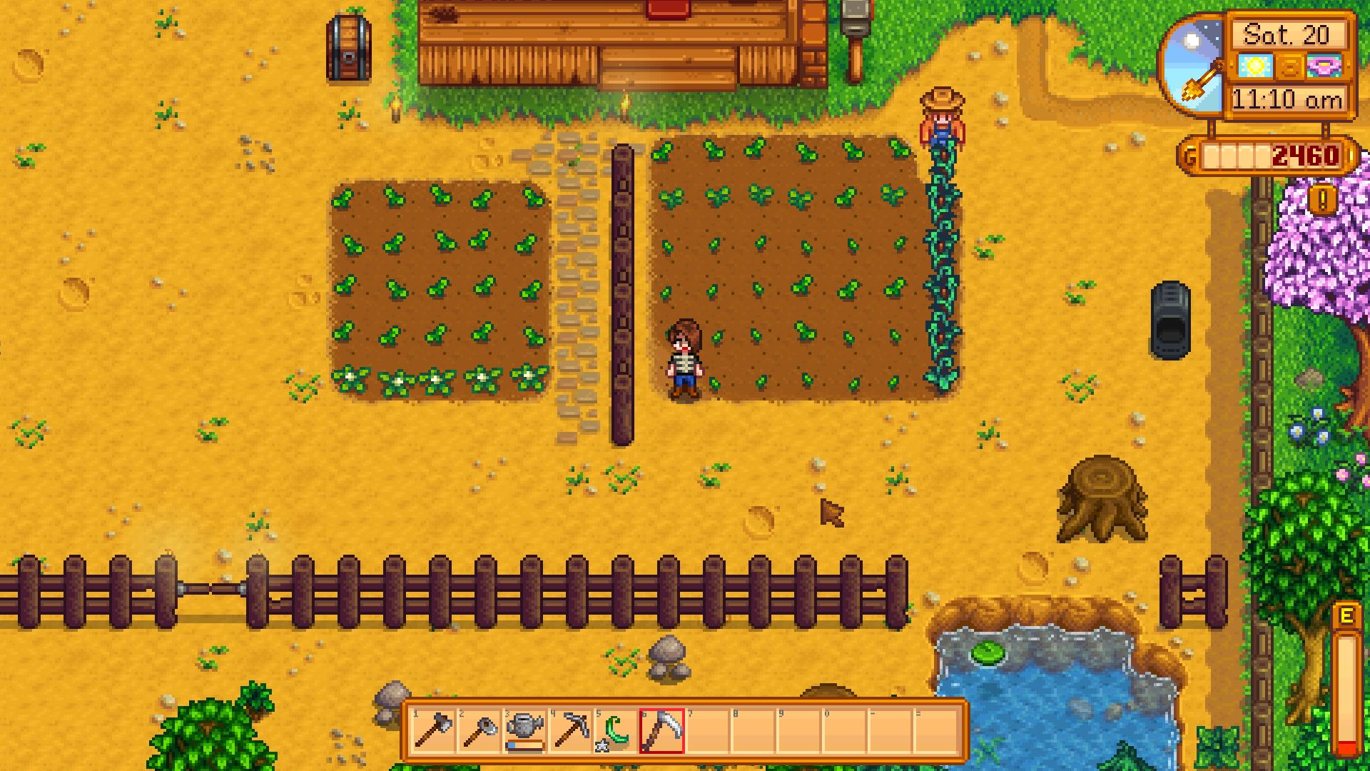 stardew valley save editor for coop