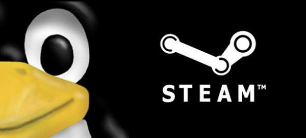 Image for Steamy Not-Windows - Valve's Linux Beta Begins