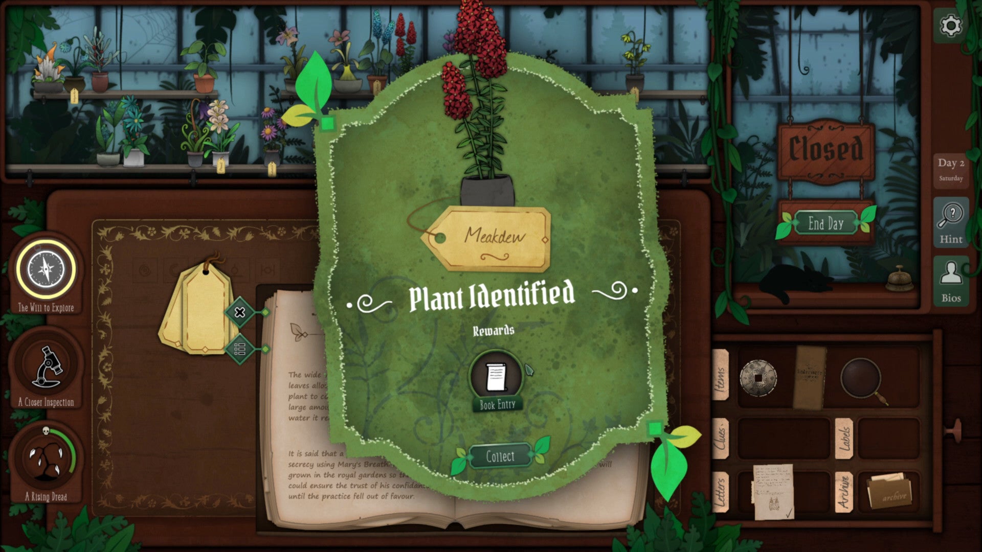 La pantalla principal de Strange Horticulture, que mostra el moment en què el jugador identifica correctament una planta (Meakdew).  Al fons, és un dia trist vist des dels aparadors d'una botiga plena de plantes, i un gat negre dorm en un taulell a la dreta.