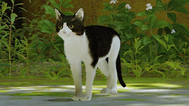 A screenshot of adorable tuxedo cat Maro modded into the video game Stray.