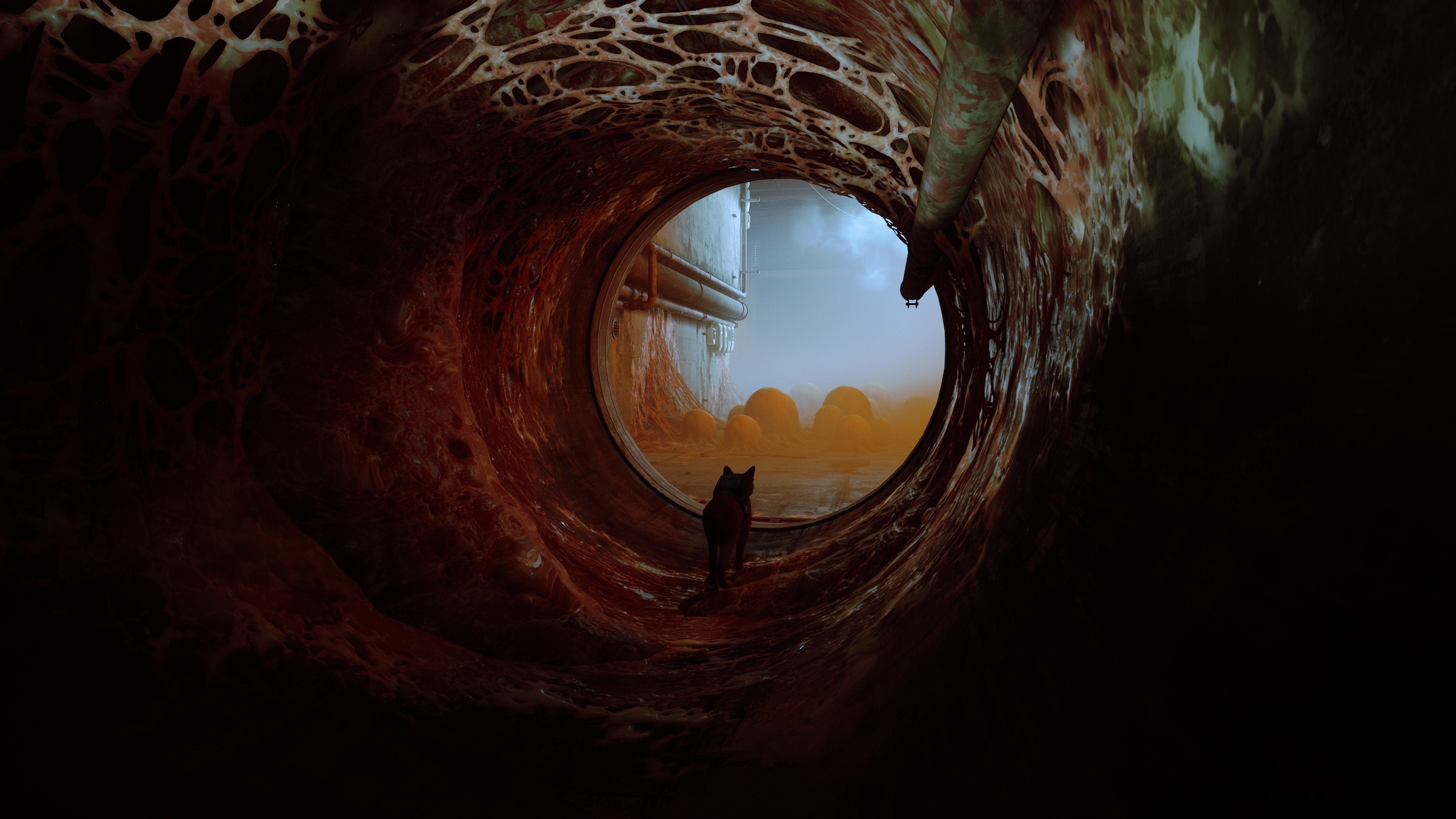 A cat walks through a dark tunnel covered in a fleshy-looking fungus in Stray