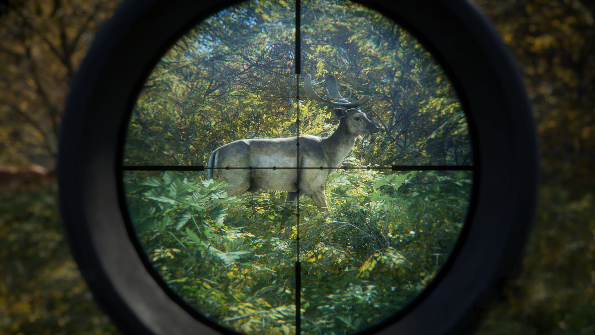 A crosshair hovers over a deer's heart in theHunter: Call Of The Wild
