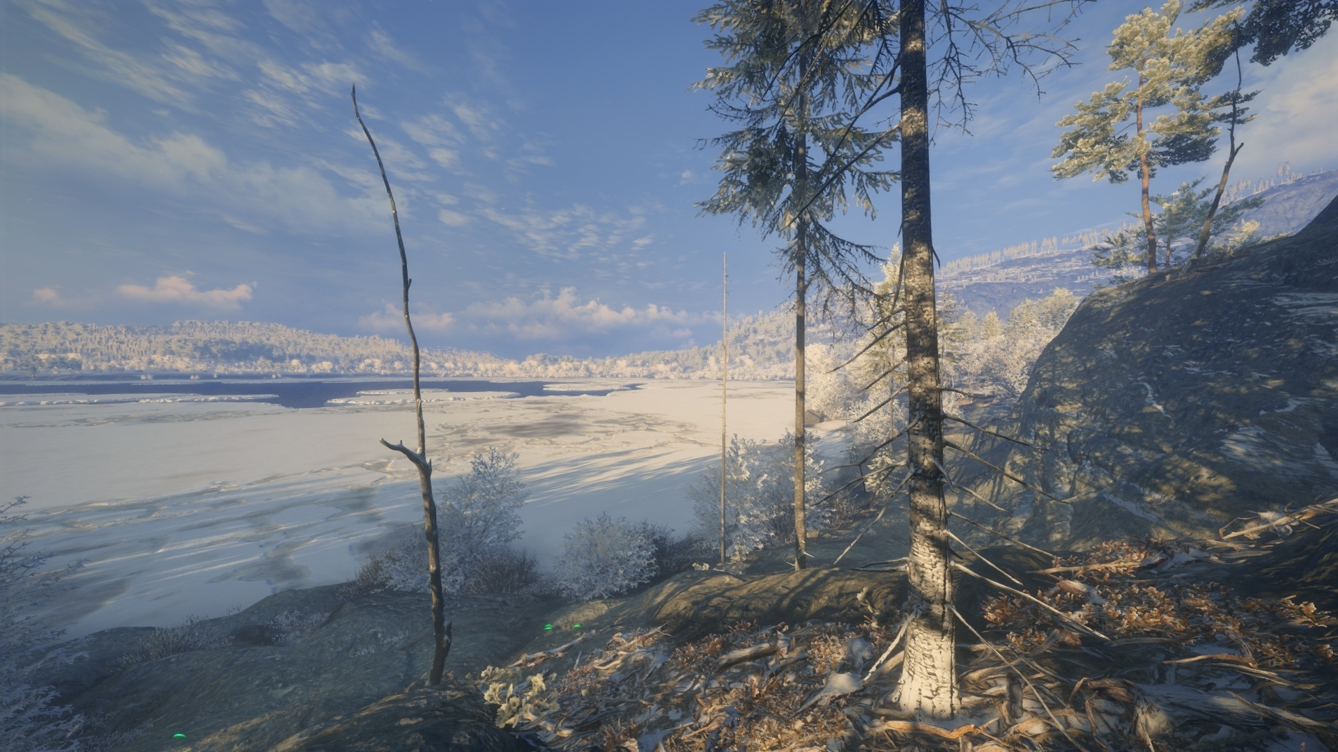 the hunter call of the wild pc graphics settings