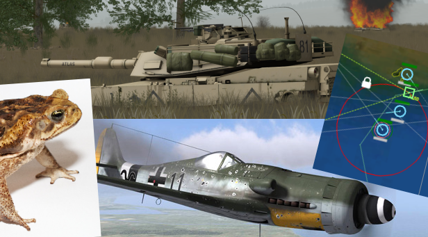 Image for The Flare Path: Toad Array
