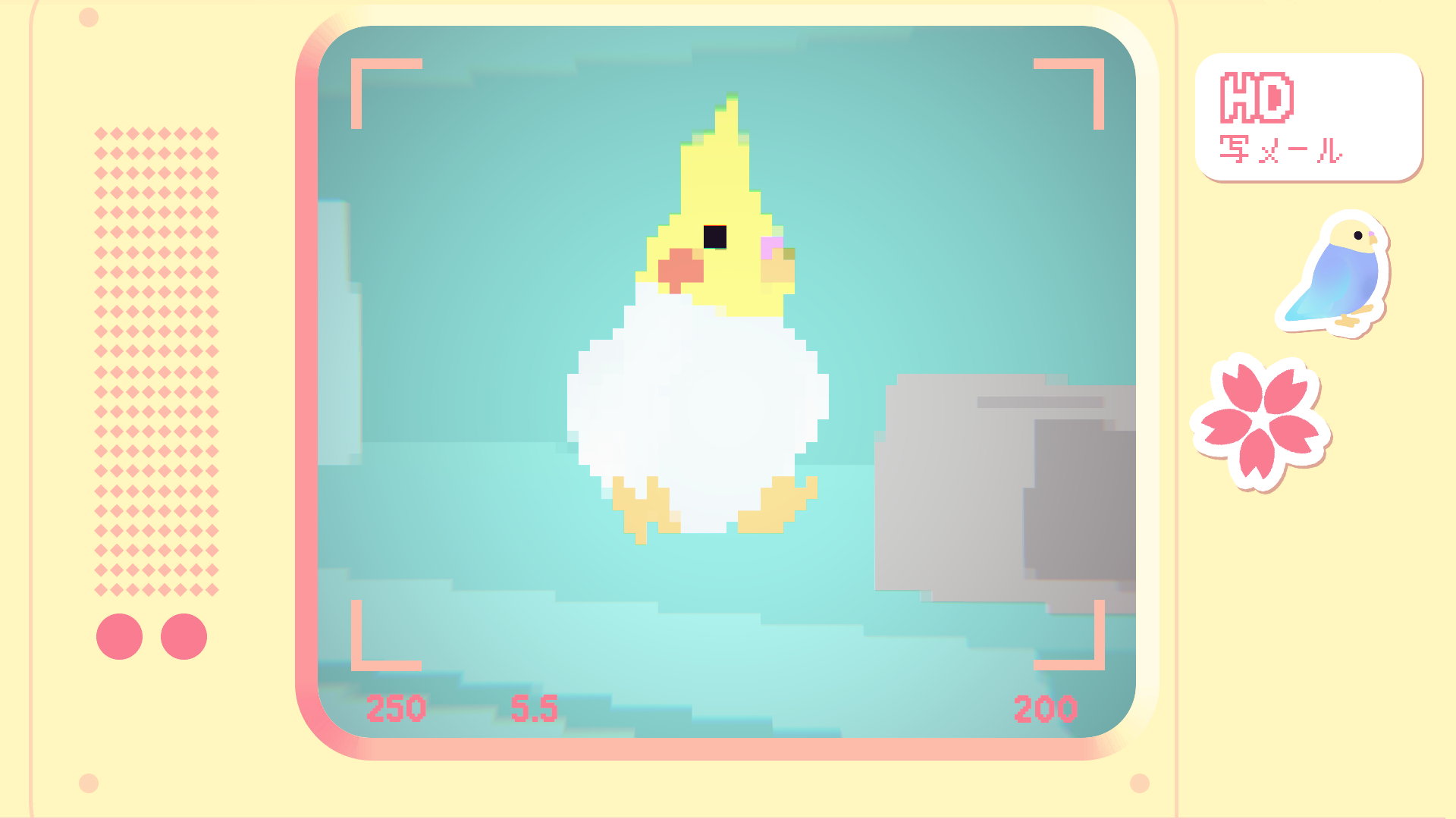 Image for This adorable game about snapping photos of birds is now on itch.io