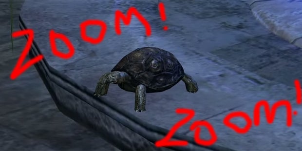 Image for Path Of Exile Teases New Pets, Tortoise OP Speed Demon