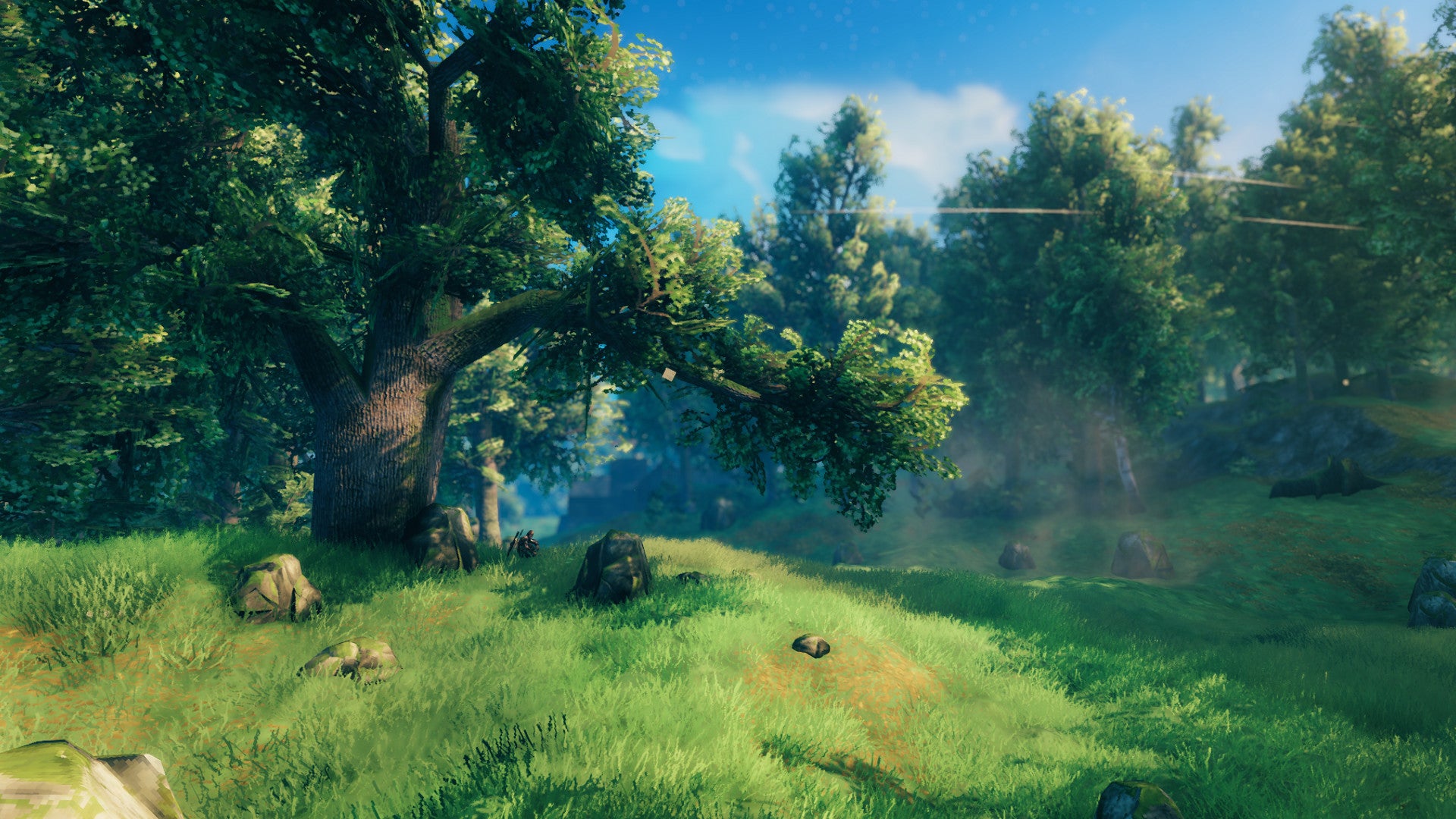 A Valheim screenshot of a Meadows biome, with a large Oak Tree in the foreground on the left.
