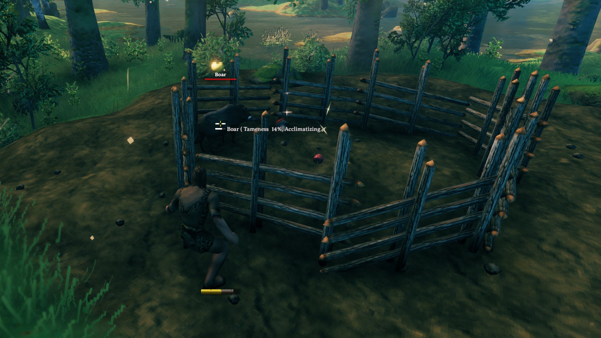 A Valheim screenshot of a player standing outside a Boar pen, inspecting a Boar in the process of being tamed.