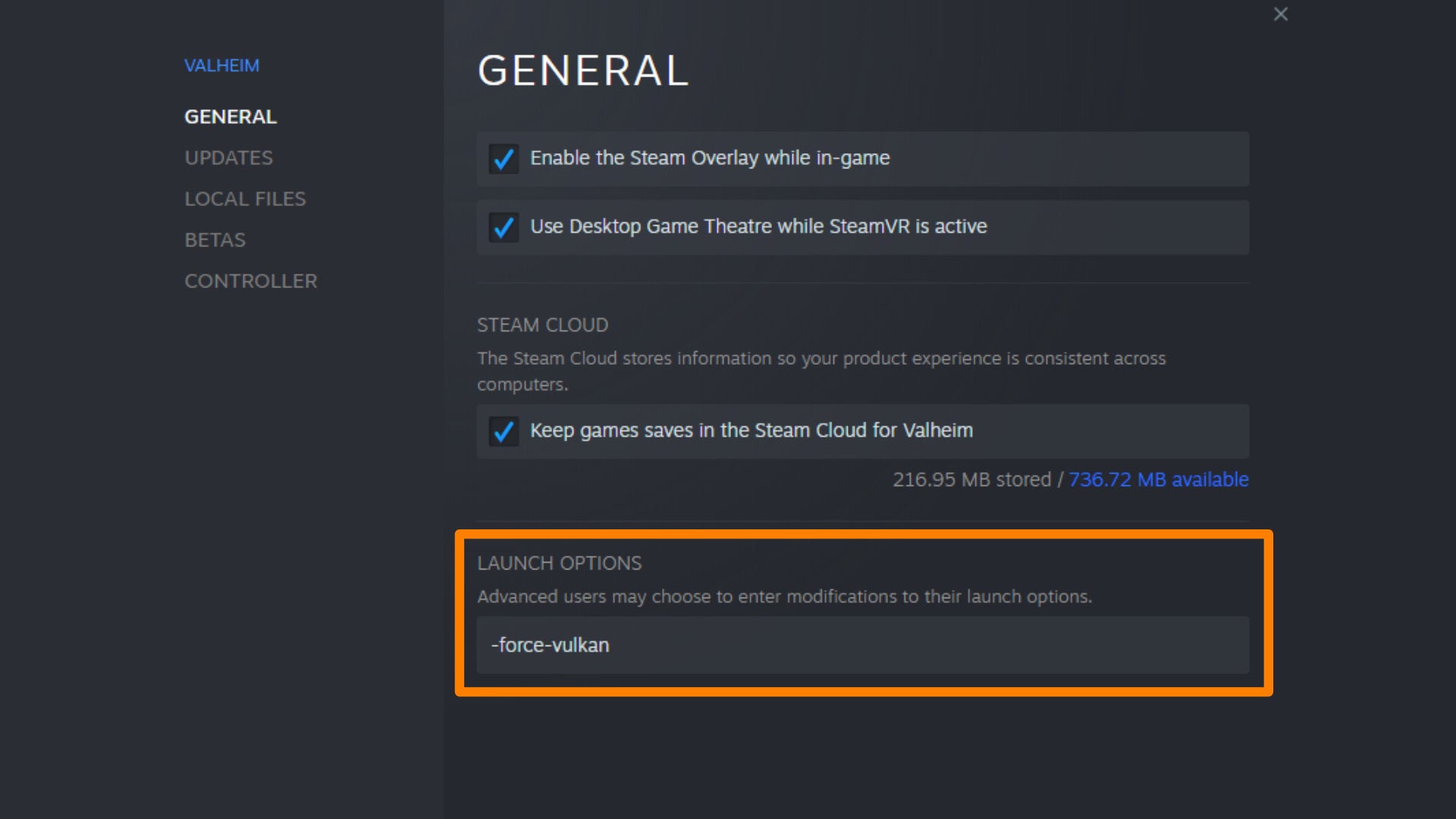 A screenshot of the Steam Properties window for Valheim, with the Launch Options input field highlighted.