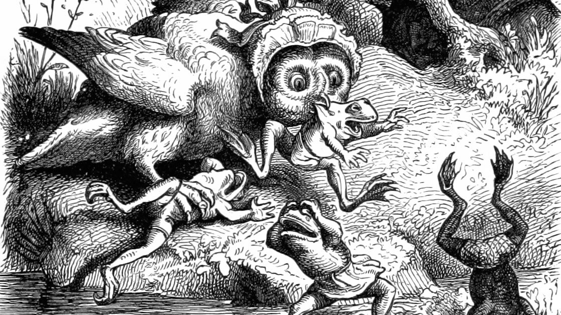 An owl wearing a bonnet attacks frogs wearing shorts in an illustration from 'Woodland Romances; or, Fables and Fancies'.