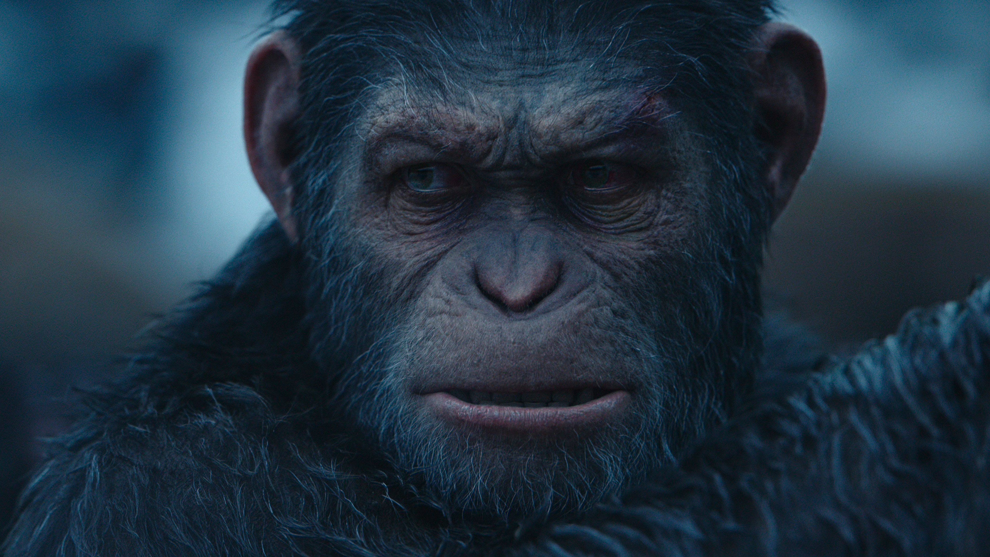 A cheeky monkey in a frame from War for the Planet of the Apes.