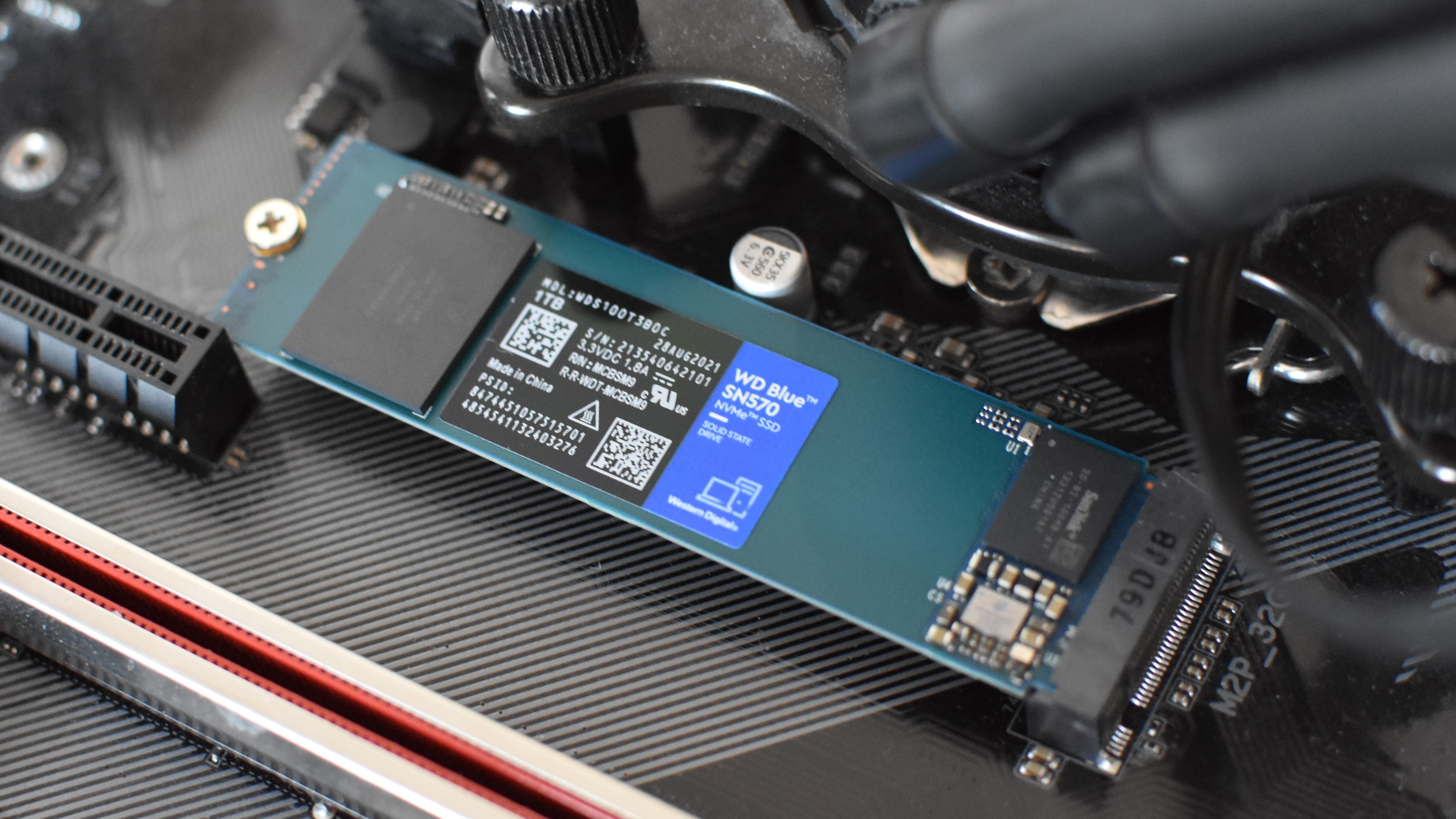 تم تثبيت WD Blue SN570 SSD في فتحة M.2.