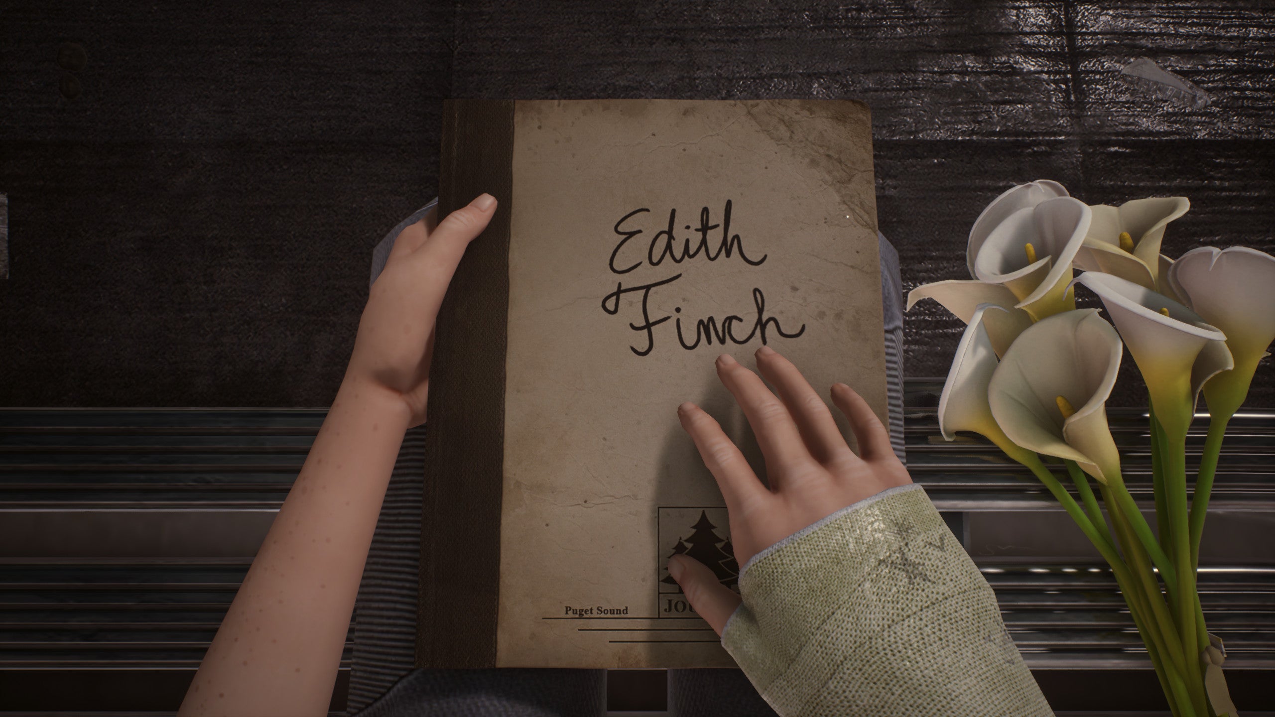 A hand touches Edith Finch's journal in a What Remains of Edith Finch screenshot.