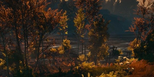 Image for The Witcher 3 Has Superb Trees