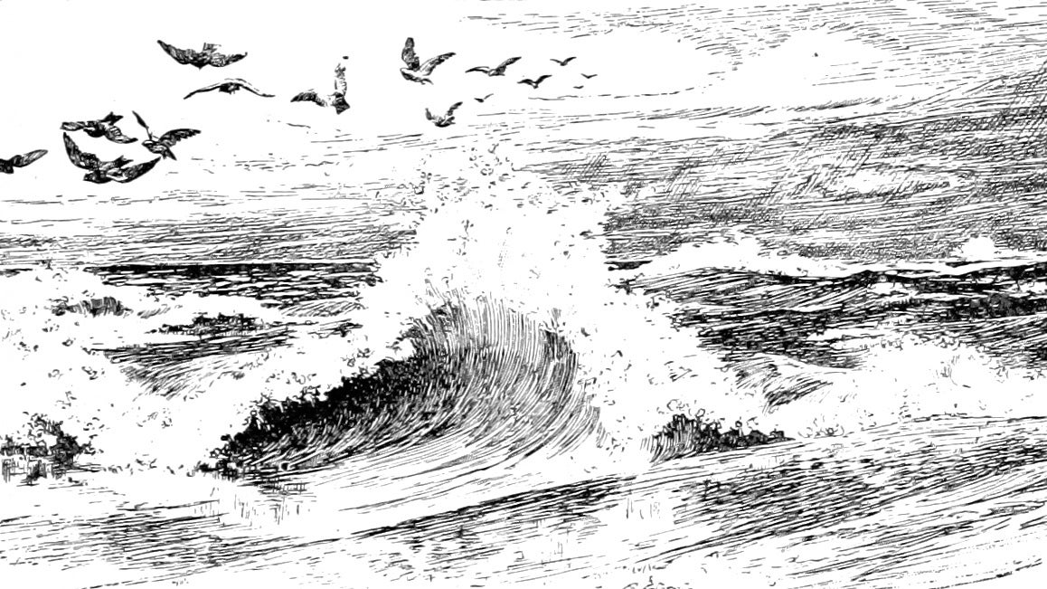 Birds flying over a big crashing wave in an illustration from 'Jarrolds' 'Holiday' Series'.